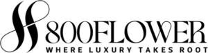 كود خصم 800 فلاور